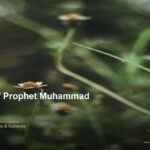 islamic e44ba51614 005608