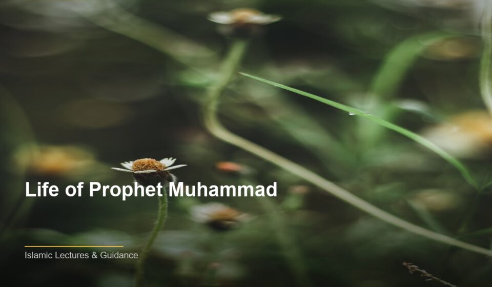 The Power of Life of Prophet Muhammad: Transforming Lives Through Faith islamic e44ba51614 005608