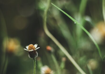 Lessons from Repentance in Islam Tawbah: Spiritual Guidance That Resonates