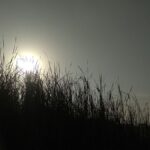 Exploring Wellness: Deepening Your Spiritual Connection