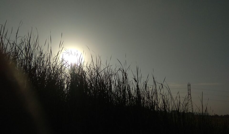 Exploring Wellness: Deepening Your Spiritual Connection