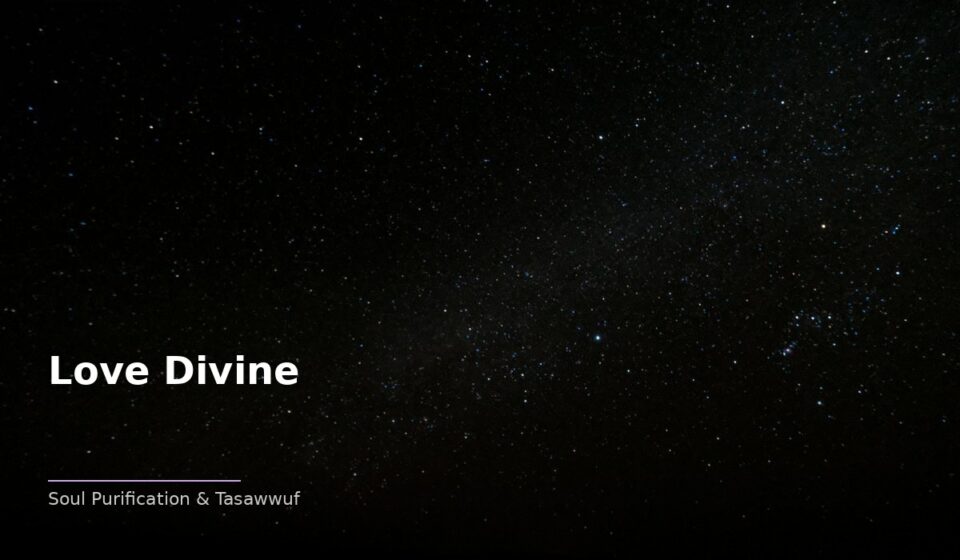 Love Divine in Islam: Ancient Wisdom for Modern Seekers islamic 11c5593f71 130024