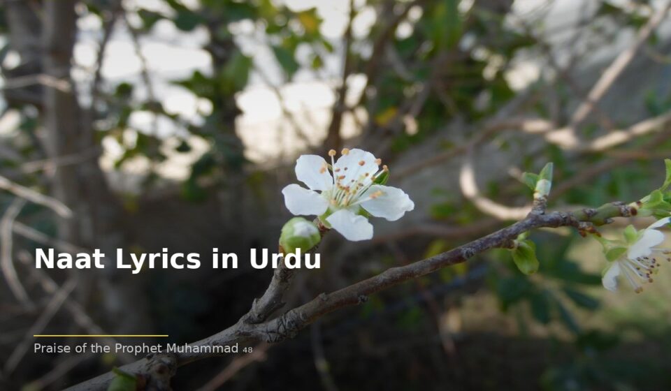 Understanding Naat Lyrics in Urdu in the Naat Tradition islamic 412745f9bc 202726