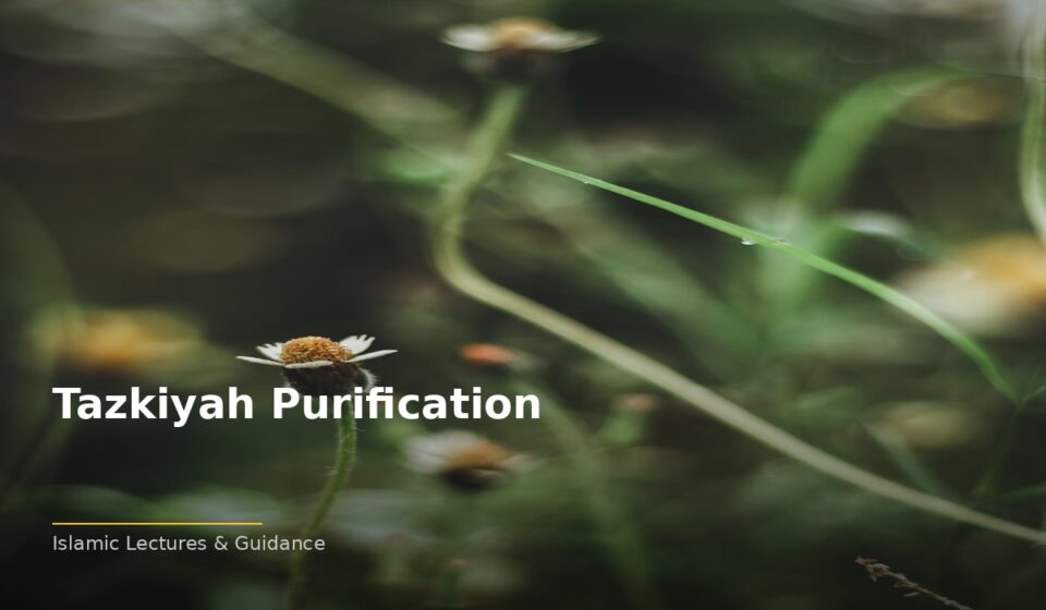 The Power of Tazkiyah Purification: Transforming Lives Through Faith islamic 5016288a18 062644