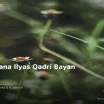 islamic 56b16dc2e1 050054