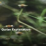 islamic 61ba60ced5 053750