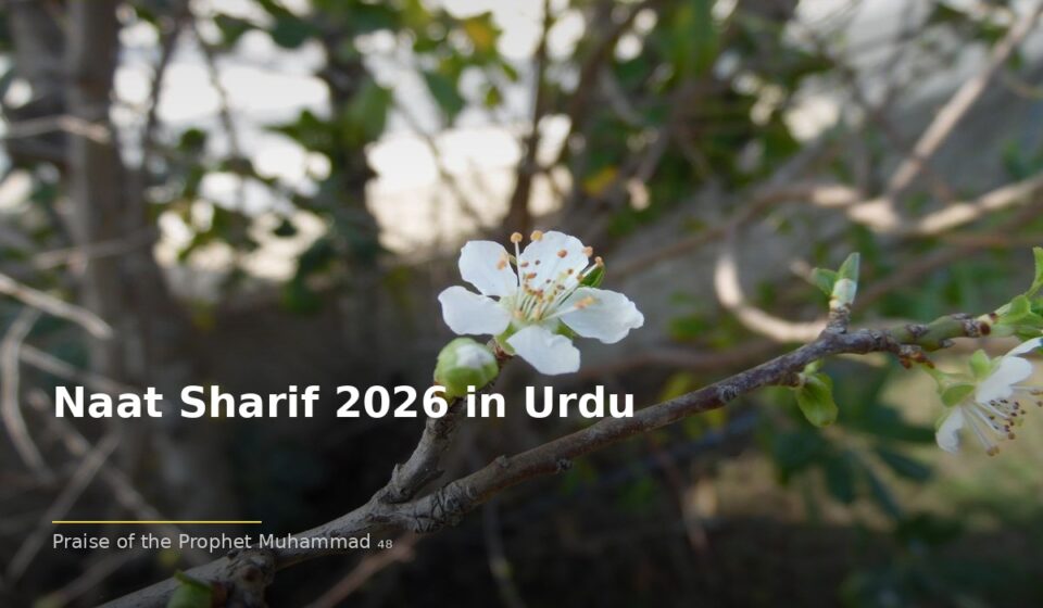 islamic 7093eae1d3 174152