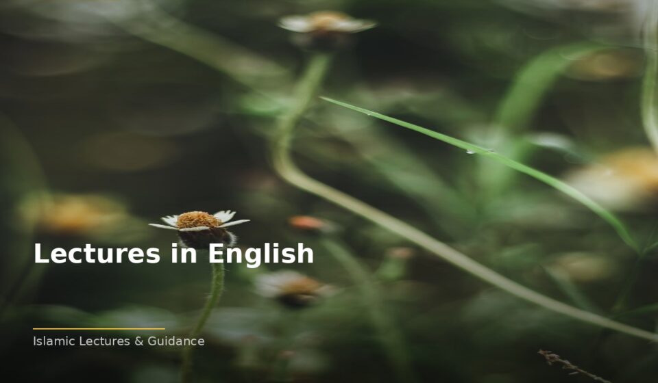 Lectures in English: Islamic Wisdom for the Modern Heart islamic 790142b308 125812