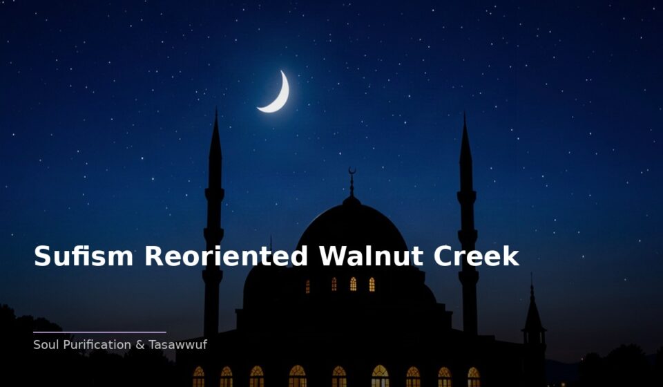 The Journey of Sufism Reoriented Walnut Creek: Finding Meaning Through Spirituality islamic 90eaf7a7db 043306