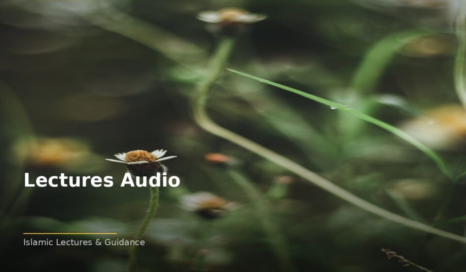 Lectures Audio: Islamic Wisdom for the Modern Heart islamic 9a00f5230b 161923