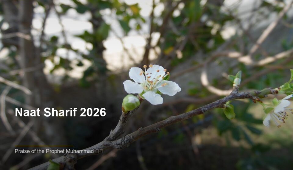 Naat Sharif 2026: A Beautiful Expression of Love for the Prophet islamic a590e4f491 224221
