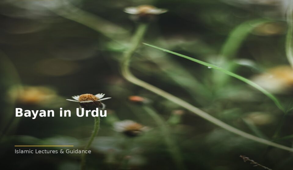 Bayan in Urdu: Islamic Wisdom for the Modern Heart islamic b0e116cfa4 174819