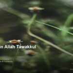 islamic d7c553e25b 160629