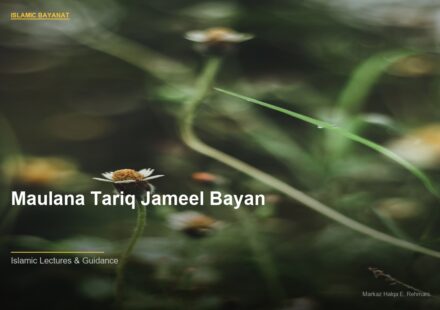 islamic b6f94ef383 170849