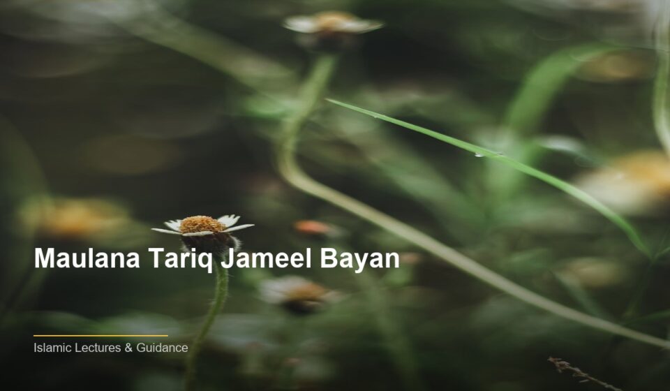 Maulana Tariq Jameel Bayan: Essential Islamic Teachings for Daily Life islamic b6f94ef383 170849