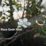 islamic ec56eec213 000805