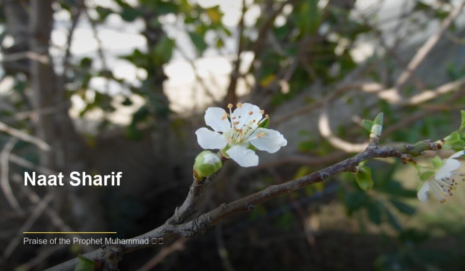 Naat Sharif: The Art of Devotional Poetry in Islam islamic 3a00b24ba0 160748