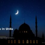 islamic f4df377bf4 204602